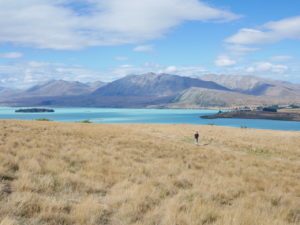 lac tekapo nouvelle zélande